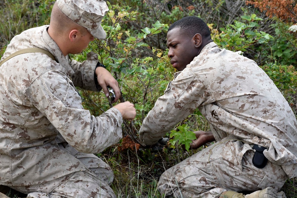 Marines play vital roles in joint fires readiness opportunities at Northern Strike 18