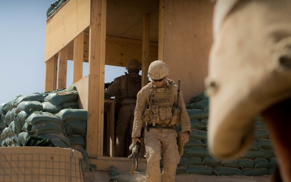 SPMAGTF-CR-CC Marines secure vital firebase during Operation Talon Spear