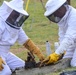 Bee Hive Removal at JBSA-Lackland