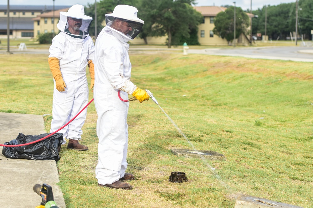 Bee Hive Removal at JBSA-Lackland