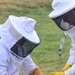 Bee Hive Removal at JBSA-Lackland