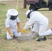 Bee Hive Removal at JBSA-Lackland