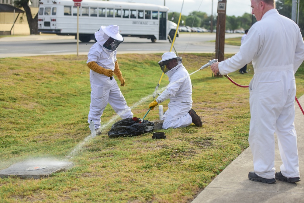 Bee Hive Removal at JBSA-Lackland