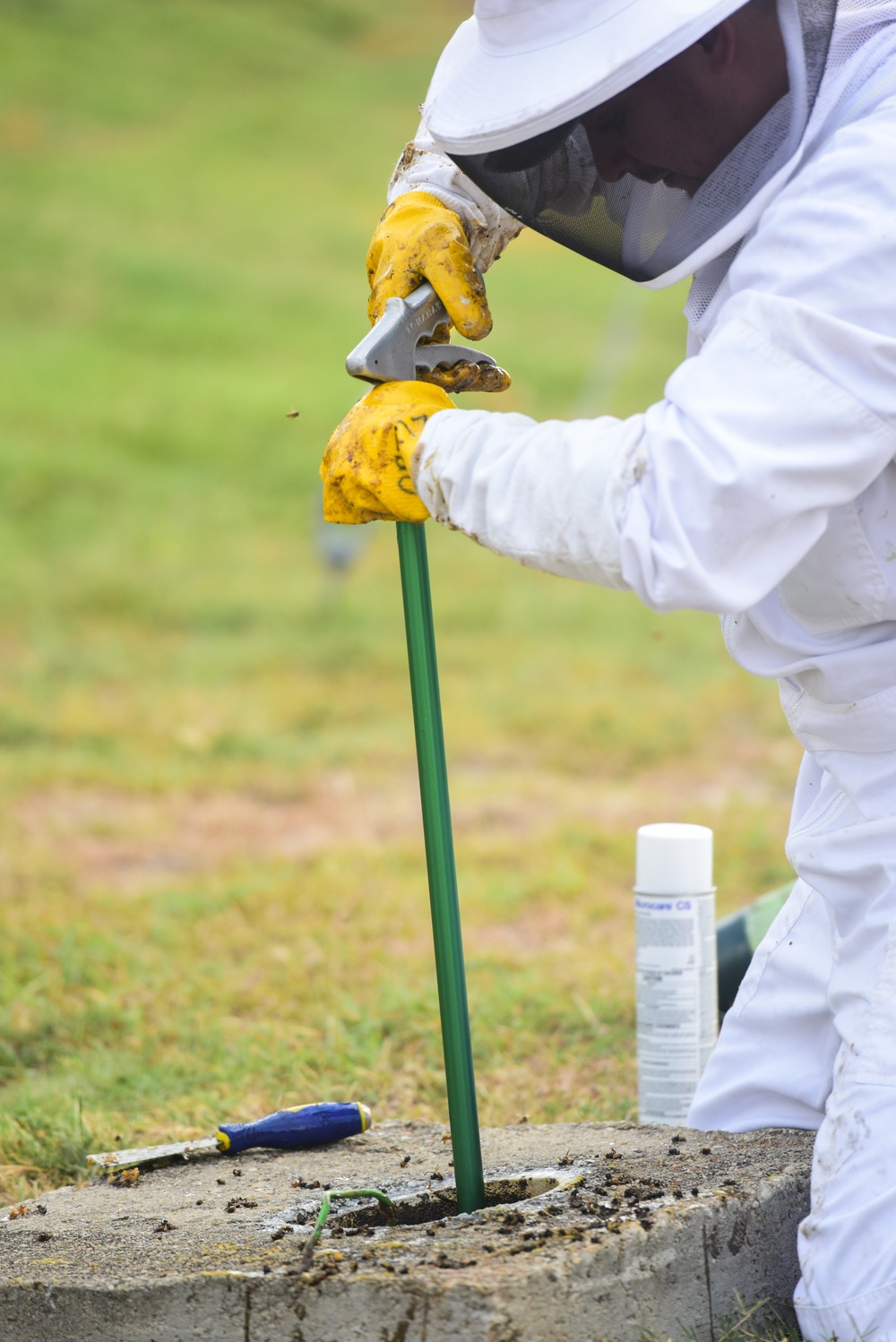 Bee Hive Removal at JBSA-Lackland