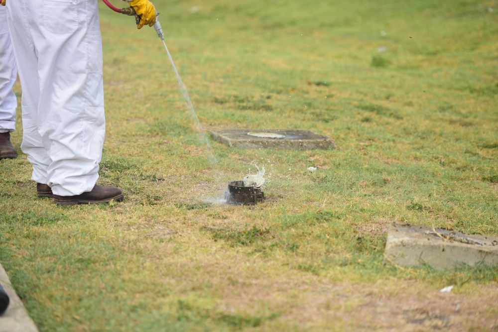 Bee Hive Removal at JBSA-Lackland