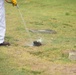 Bee Hive Removal at JBSA-Lackland