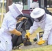 Bee Hive Removal at JBSA-Lackland