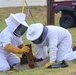 Bee Hive Removal at JBSA-Lackland