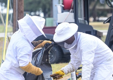 Bee Hive Removal at JBSA-Lackland