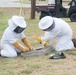 Bee Hive Removal at JBSA-Lackland