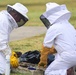 Bee Hive Removal at JBSA-Lackland