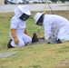 Bee Hive Removal at JBSA-Lackland