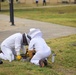 Bee Hive Removal at JBSA-Lackland