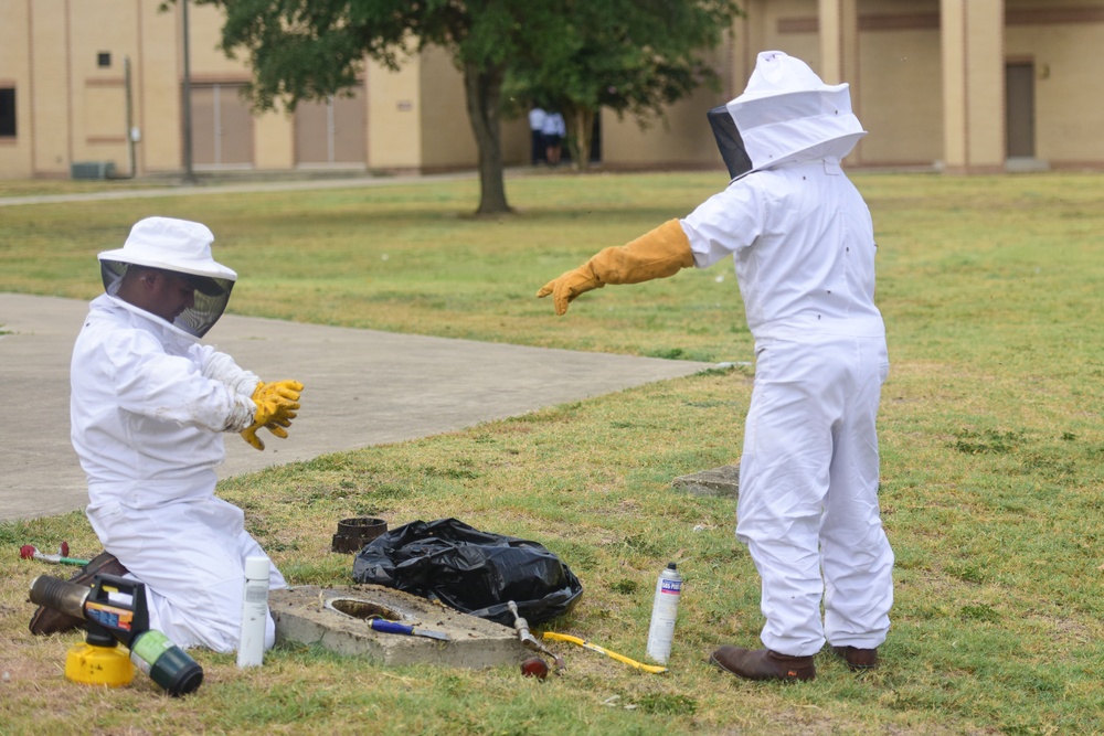 Bee Hive Removal at JBSA-Lackland