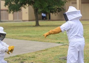Bee Hive Removal at JBSA-Lackland