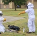 Bee Hive Removal at JBSA-Lackland