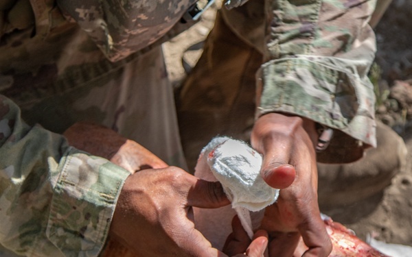 JBLM hosts Pacific Best Medic Competition