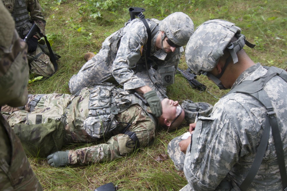 Taking the Lead on Army Training