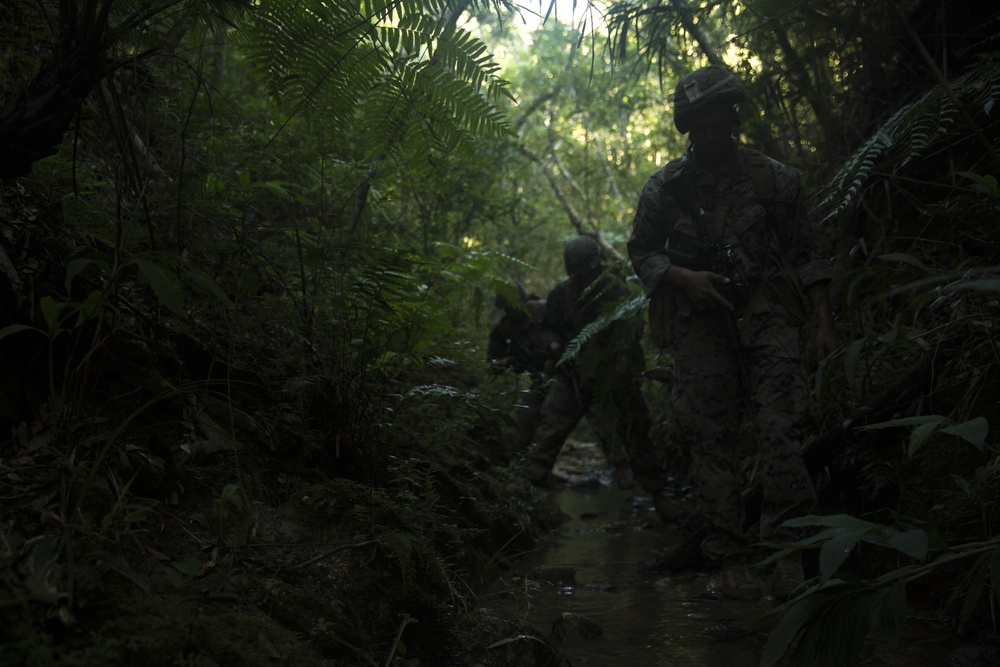 ‘Retreat, Hell!’ Marines complete Okinawa jungle warfare training