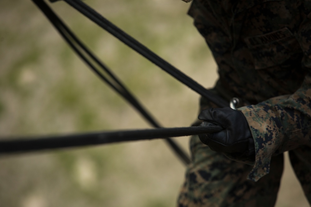 ‘Retreat, Hell!’ Marines complete Okinawa jungle warfare training