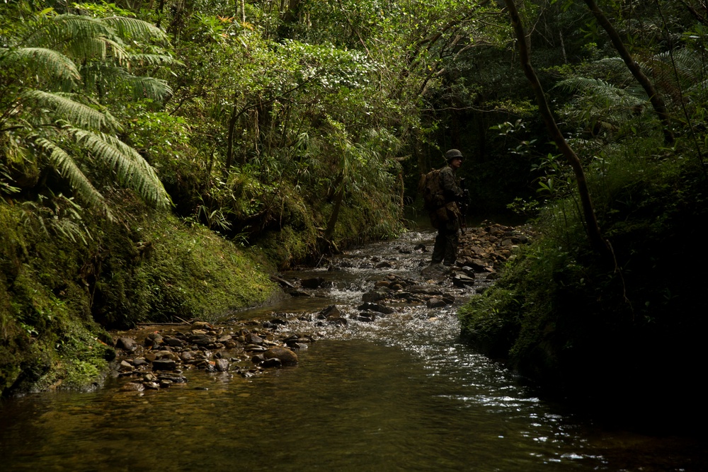 ‘Retreat, Hell!’ Marines complete Okinawa jungle warfare training