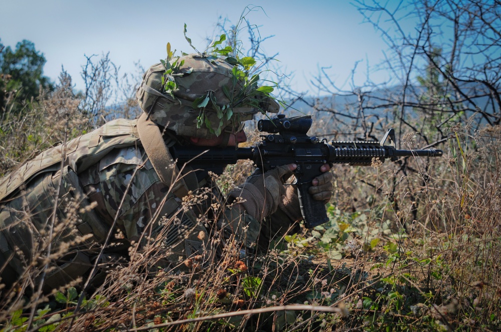 U.S. Soldiers Train during Exercise Platinum Lion's Media Day In Bulgaria