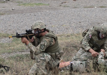 Georgia National Guard and Georgian Medical teams train together