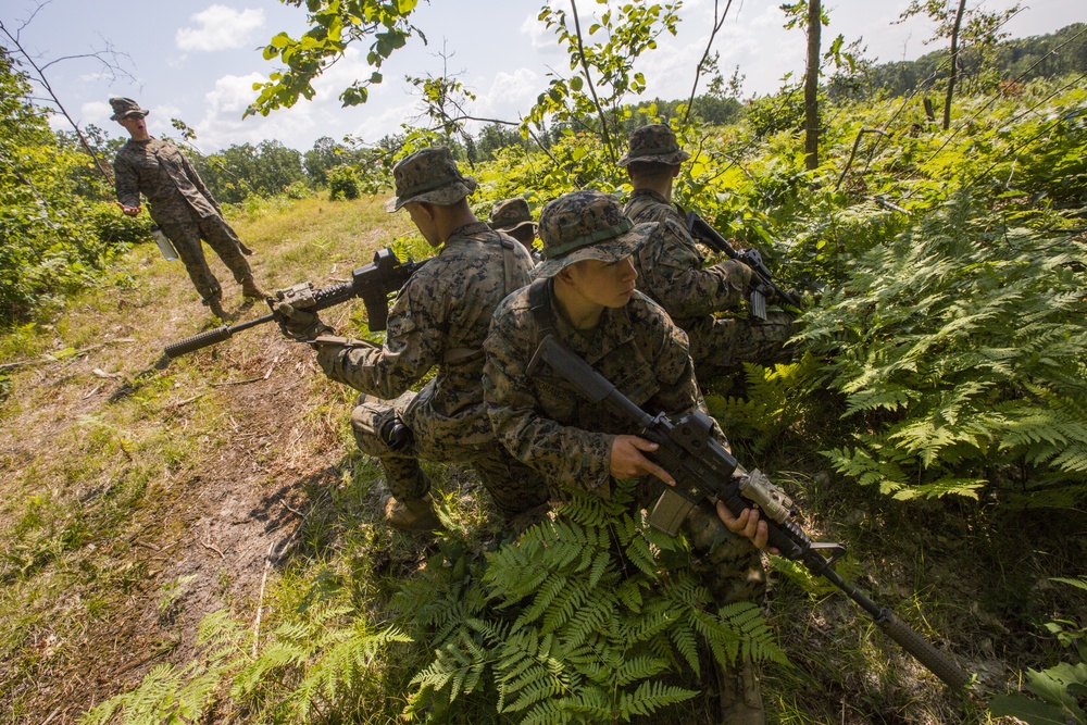 3/25th Marines Scout Snipers at Northern Strike 18