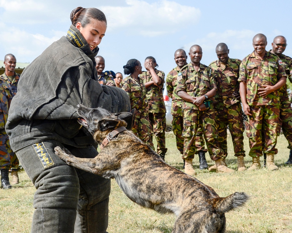 CJTF-HOA shares Canine experience, knowledge with Kenya Defense Force