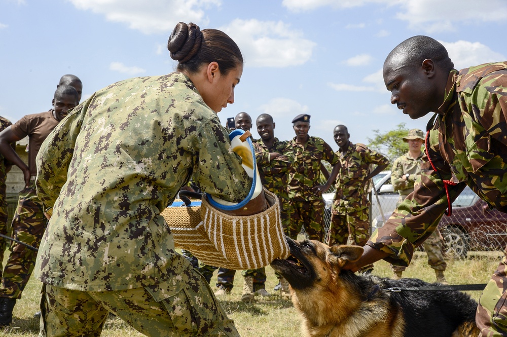CJTF-HOA shares Canine experience, knowledge with Kenya Defense Force