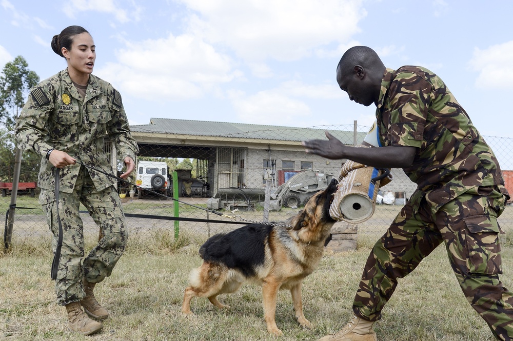 CJTF-HOA shares Canine experience, knowledge with Kenya Defense Force