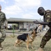 CJTF-HOA shares Canine experience, knowledge with Kenya Defense Force