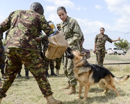 CJTF-HOA shares Canine experience, knowledge with Kenya Defense Force