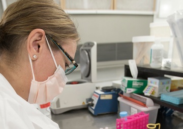 Battlefield Detectives: the Forensic Exploitation Laboratory