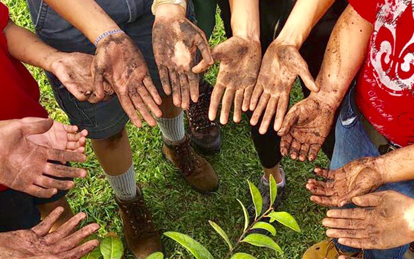 Planting The Future: Next Generation of Environmental Stewards Plants Next Generation of Palo de Rosa at Fort Buchanan