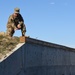 TSAE support to the European Deterrence Initiative