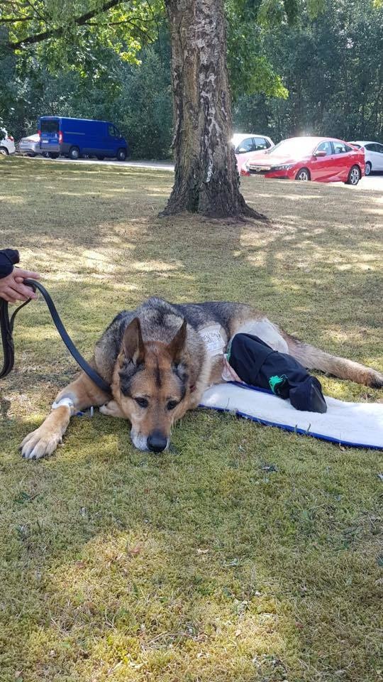 VMCE treats injured MWD