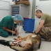VMCE treats injured MWD