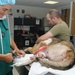 VMCE treats injured MWD