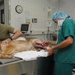 VMCE treats injured MWD