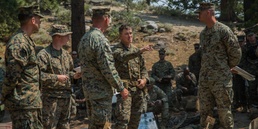 Dark Horse in the Mountains