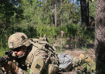A Co SQD STX
