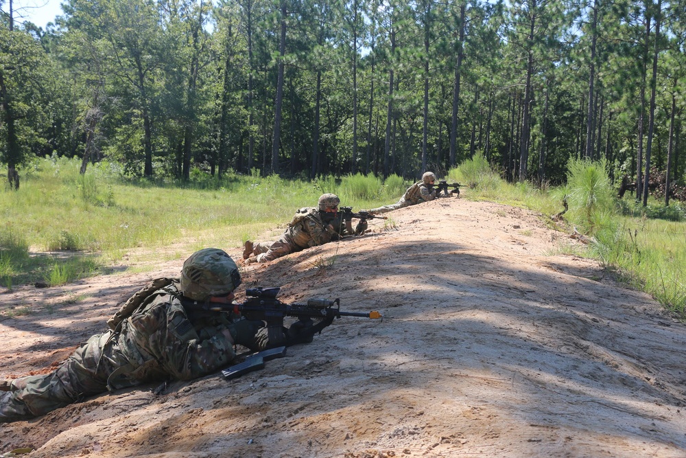 A Co SQD STX