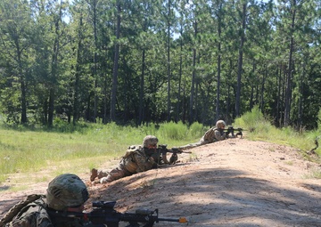 A Co SQD STX