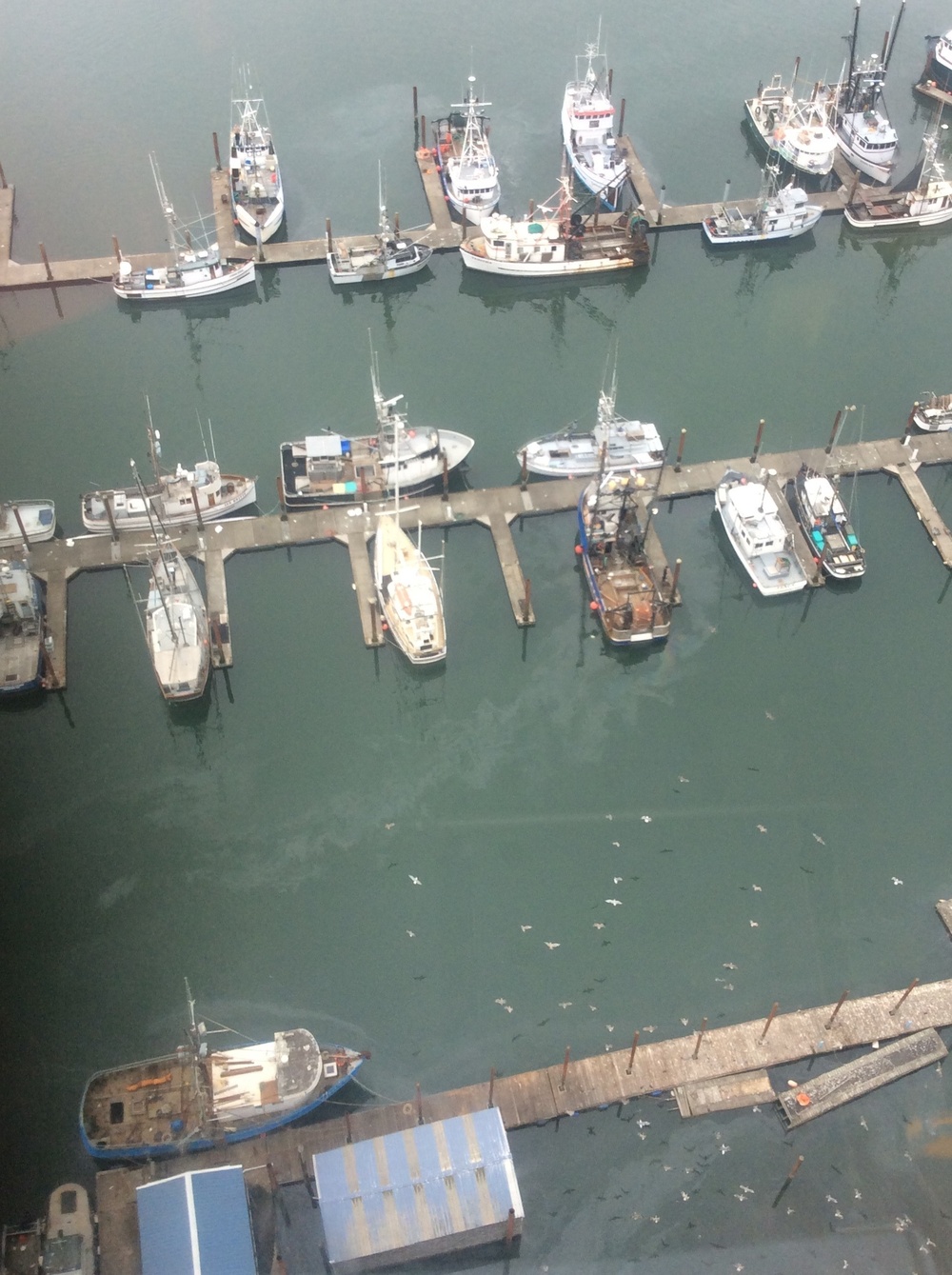 Coast Guard responds to diesel spill