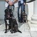 40th and 41st Sergeant at Arms of the U.S. Senate Participate in a Wreath-Laying at the Tomb of the Unknown Soldier