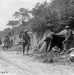 NY National Guard 27th Division fought first battle at end of August 1918