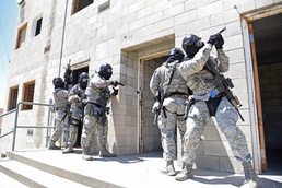 AZ ANG Defenders Partner with IL ANG for Tactics Training