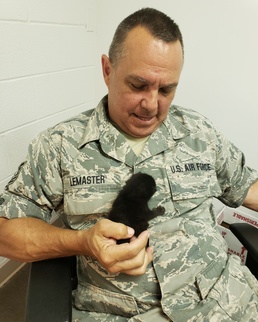 Felines found on flightline