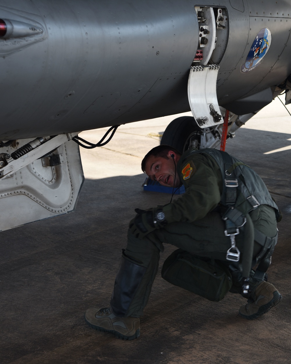 Mission Highlight: 309th Fighter Squadron